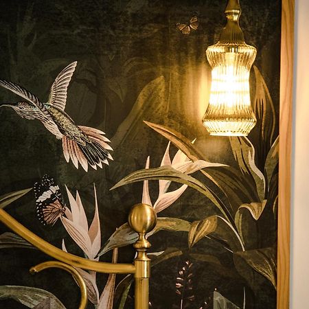 Novi'S Luxury Apartment 2 จีโรคาสเตอร์ ภายนอก รูปภาพ